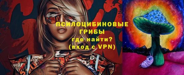 эйфоретик Алексин