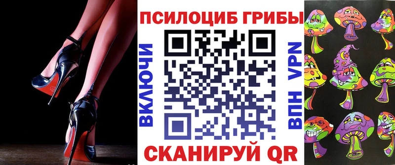 Купить закладки  Сафоново  Псилоцибиновые грибы GOLDEN TEACHER 